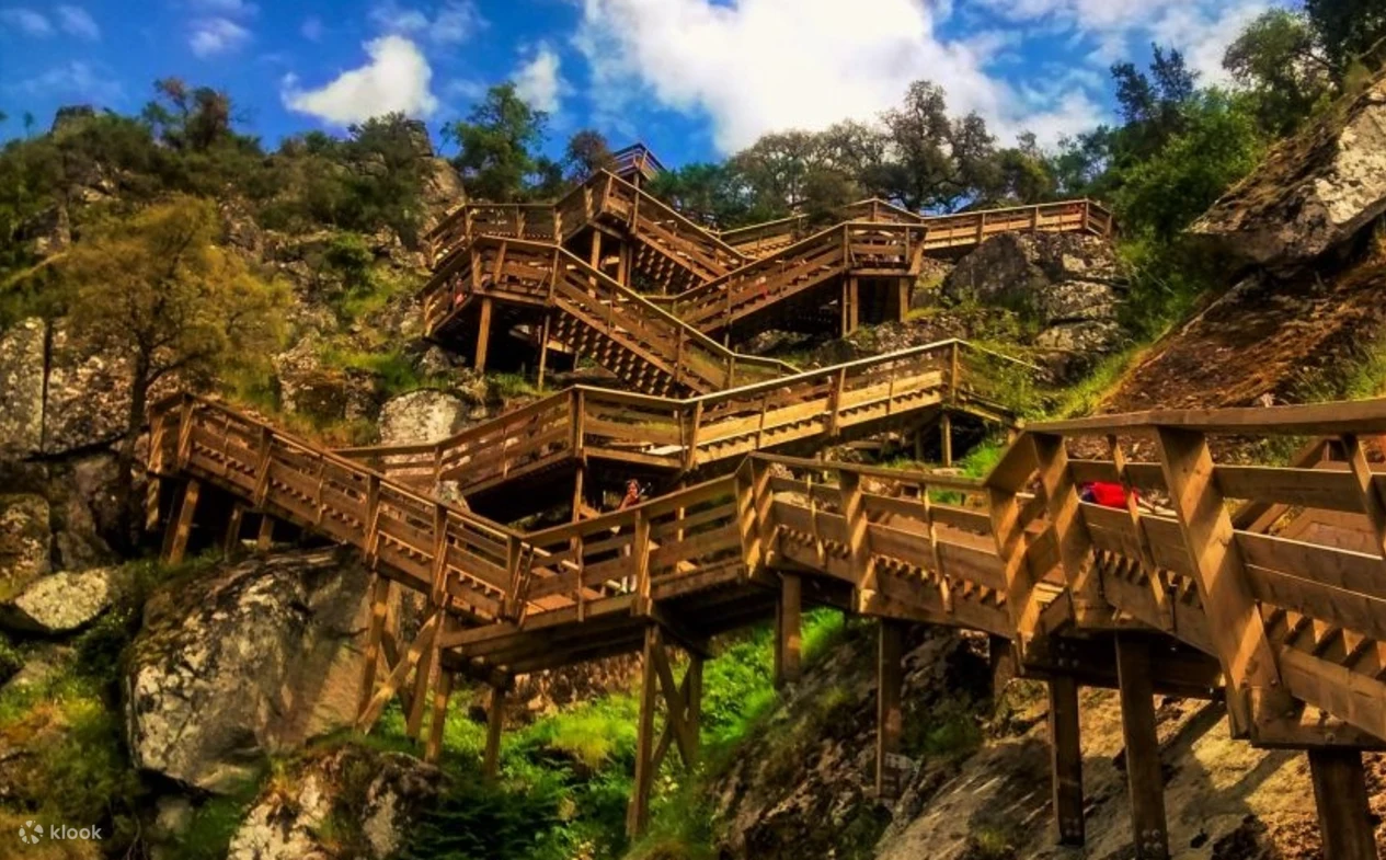 Aveiro, Paiva Walkways, and Arouca 516 Footbridge Tour from Porto