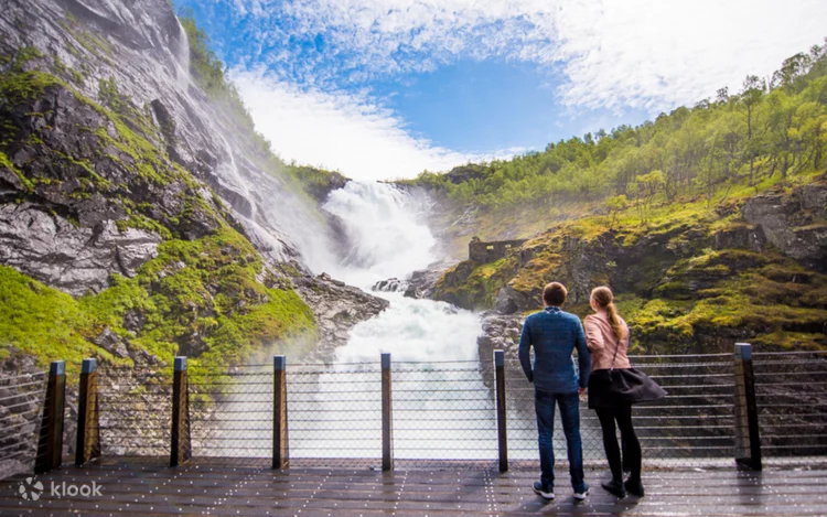 Viking Village, Naeroyfjord Cruise & Flam Railway tour from Bergen