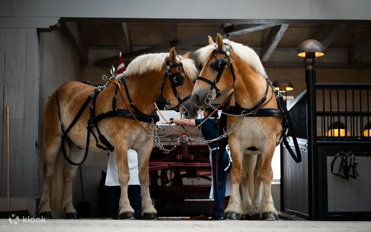 Home of Carlsberg ticket in Copenhagen