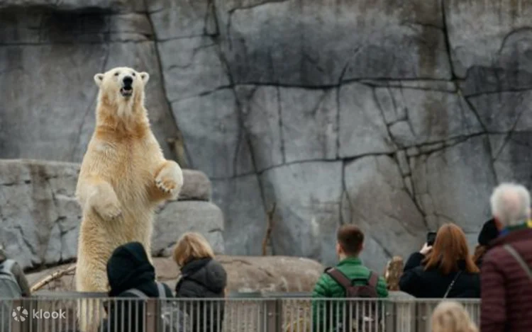 Copenhagen Zoo Skip The Line Ticket in Denmark